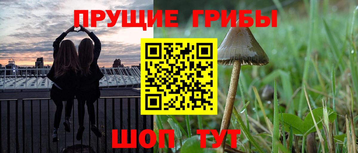 Галлюциногенные грибы GOLDEN TEACHER Нижний Тагил