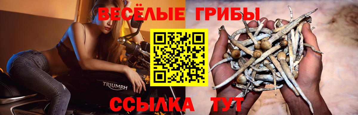 Псилоцибиновые грибы мицелий  Вход с VPN  Псилоцибиновые грибы Psilocybine cubensis  Нижний Тагил 