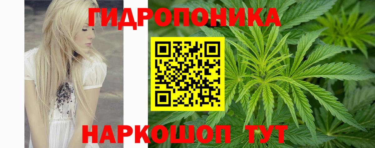 Шишки марихуана сатива  Вход с VPN  Бошки марихуана LSD WEED  Марихуана Amnesia  Нижний Тагил 